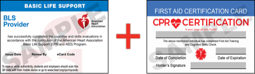 Sample American Heart Association AHA BLS CPR Card Certification and First Aid Certification Card from CPR Certification Fort Worth
